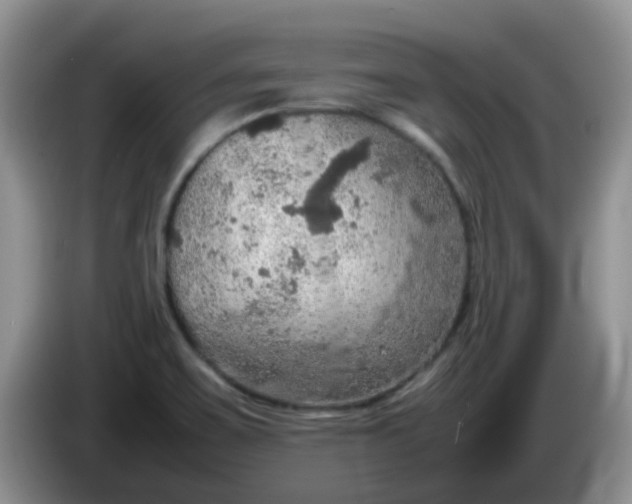 X0000086231467200704121906