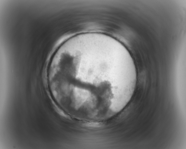 X0000086231470200704121906