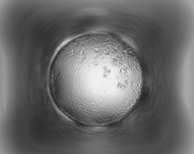 X0000086231471200704121906