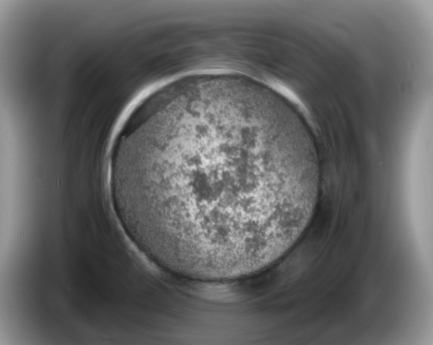 X0000086231472200704121906