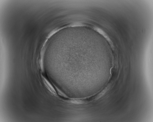 X0000086231473200704121906