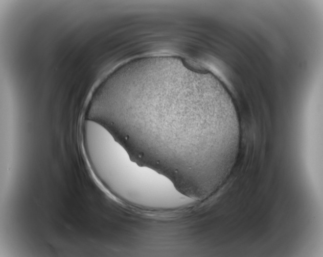 X0000086231476200704121906