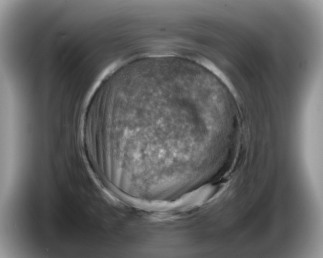 X0000086231477200704121906