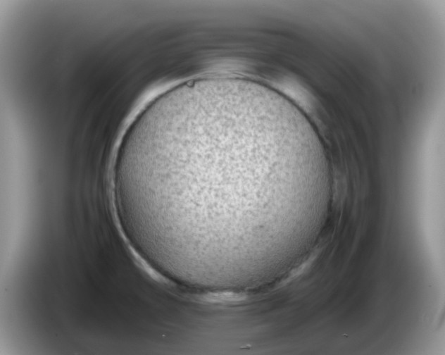 X0000086231478200704121906