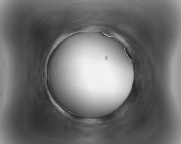 X0000086231479200704121906