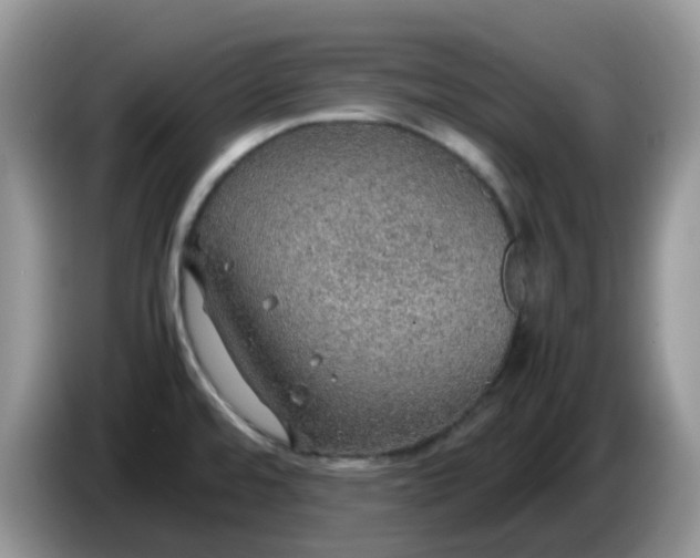 X0000086231480200704121906