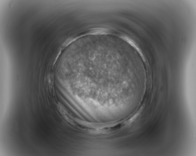 X0000086231481200704121906