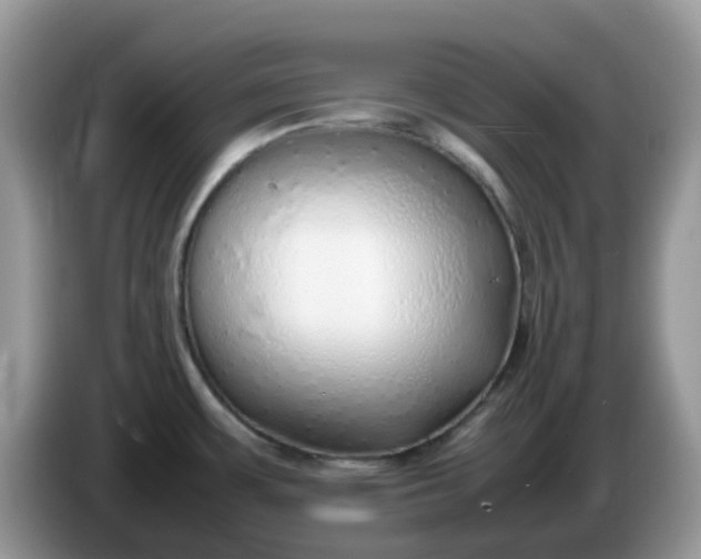 X0000086231483200704121906