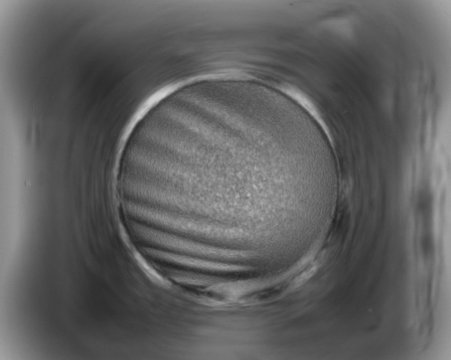 X0000086231485200704121906