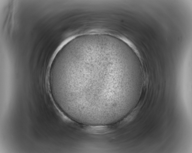 X0000086231486200704121906