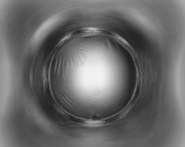 X0000086231487200704121906