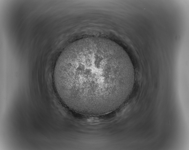 X0000086231489200704121905