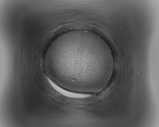 X0000086231490200704121905