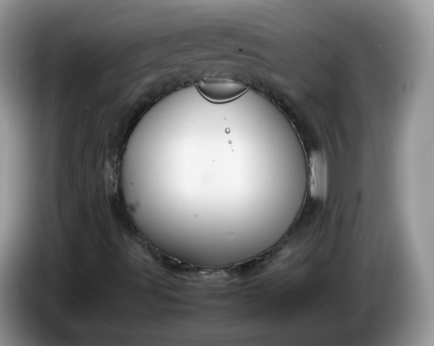 X0000086231491200704121905