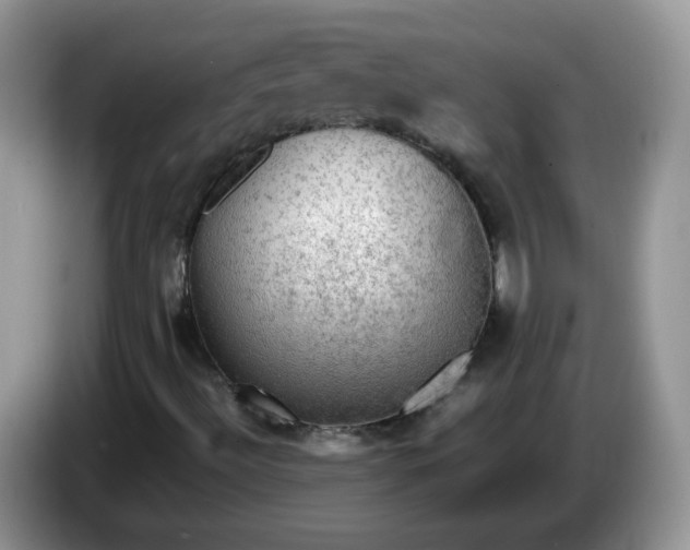 X0000086231492200704121905