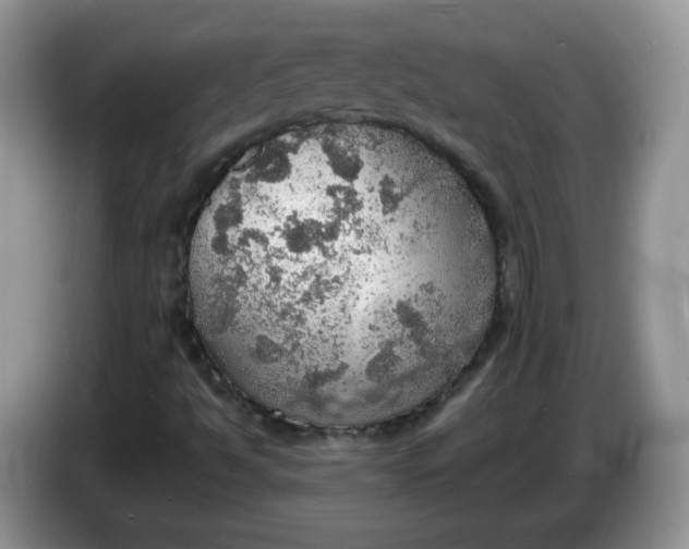 X0000086231494200704121905