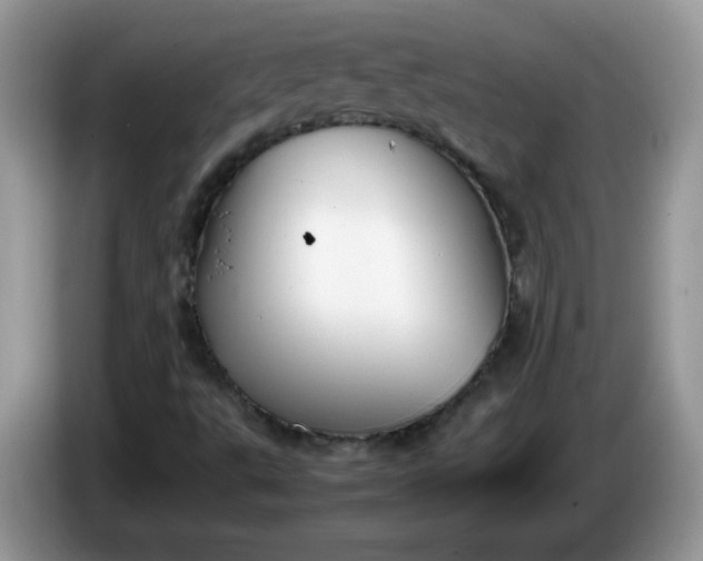 X0000086231495200704121905