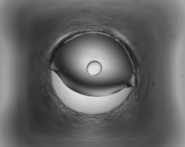 X0000086231496200704121905