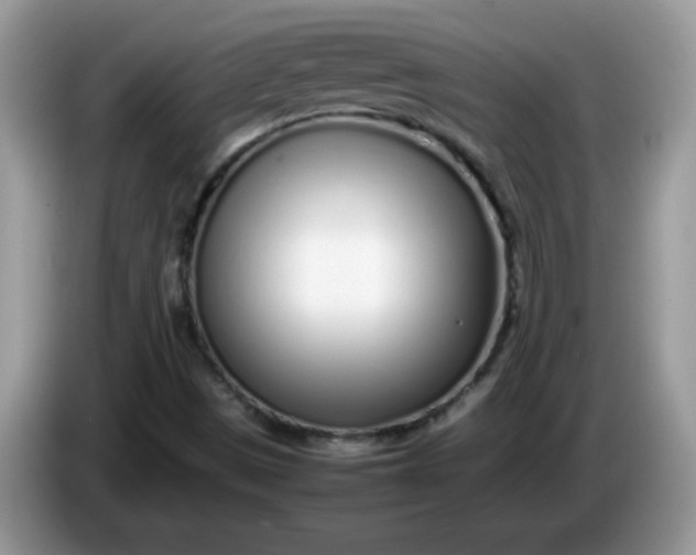 X0000086231497200704121905