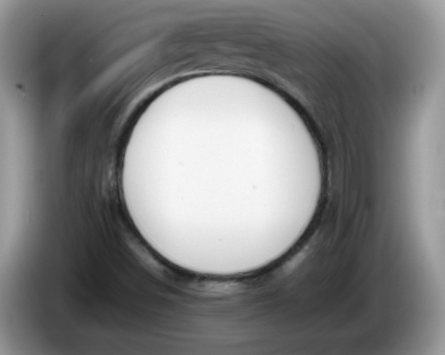 X0000086231498200704121905