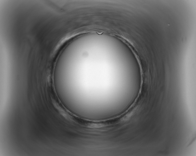 X0000086231499200704121905