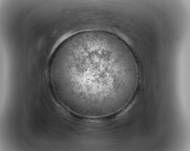 X0000086231501200704121906