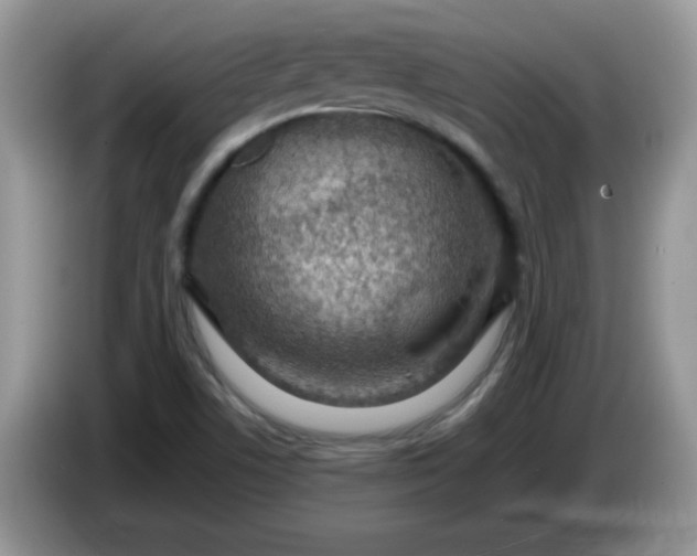 X0000086231506200704121906