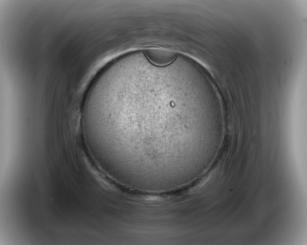 X0000086231507200704121906