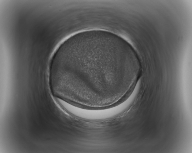 X0000086231508200704121906