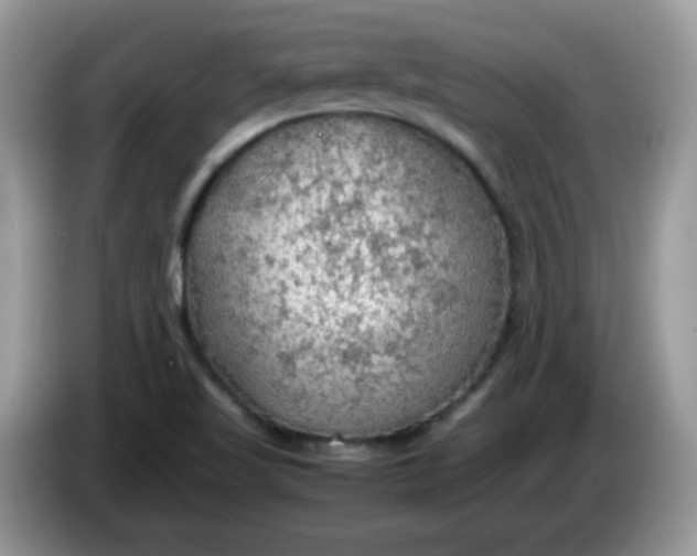 X0000086231509200704121906