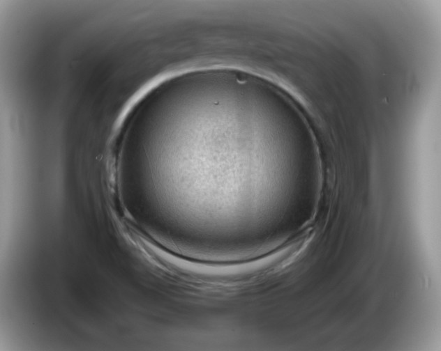 X0000086231510200704121906