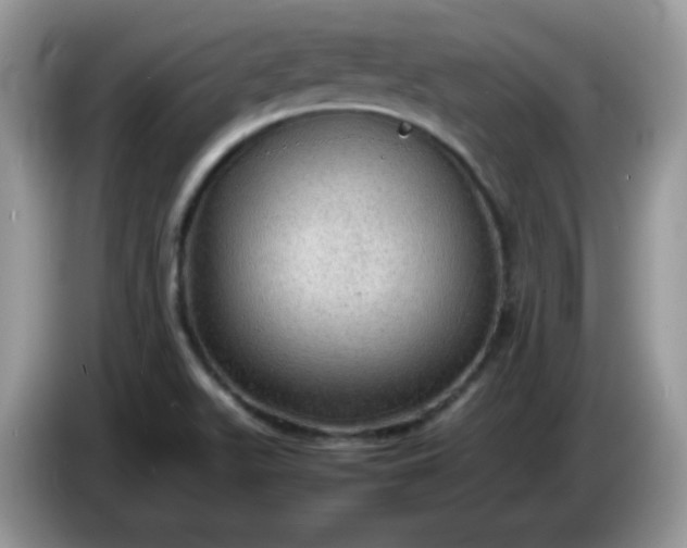 X0000086231511200704121906