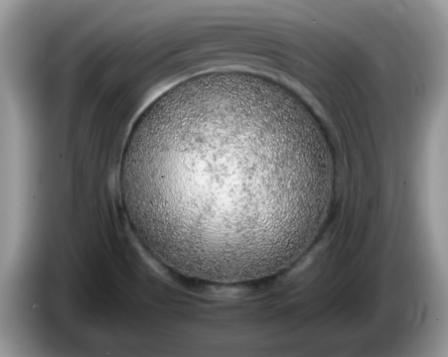 X0000086231513200704121906