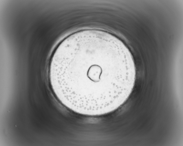 X0000086231514200704121906