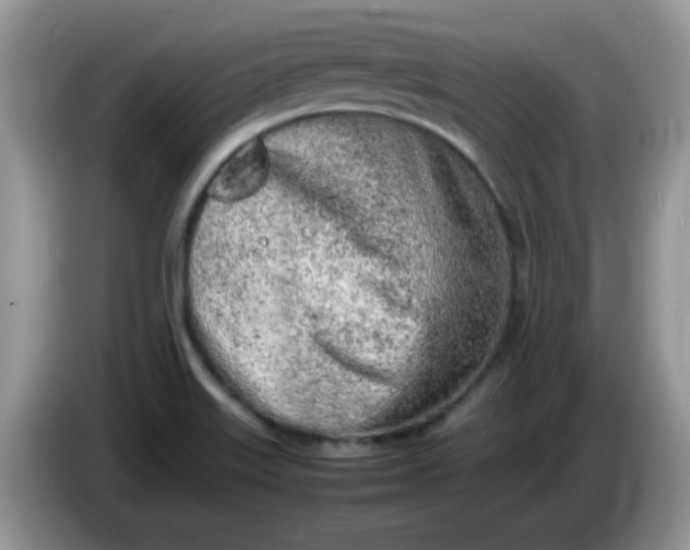 X0000086231515200704121906