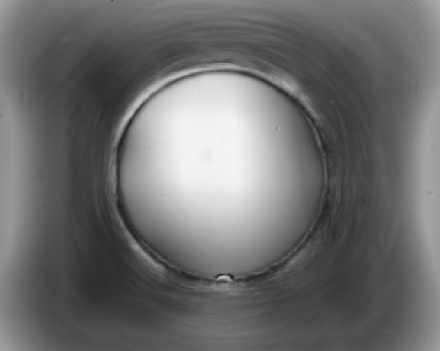 X0000086231516200704121906