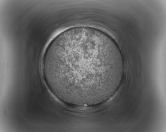 X0000086231517200704121906