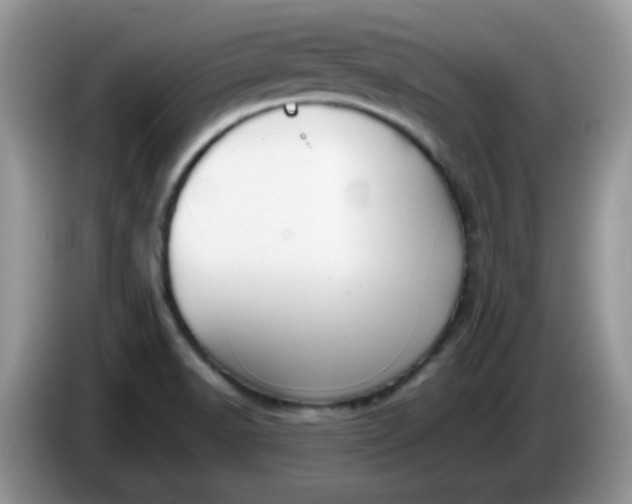 X0000086231518200704121906