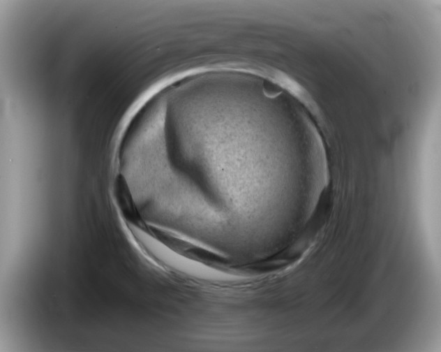 X0000086231520200704121906