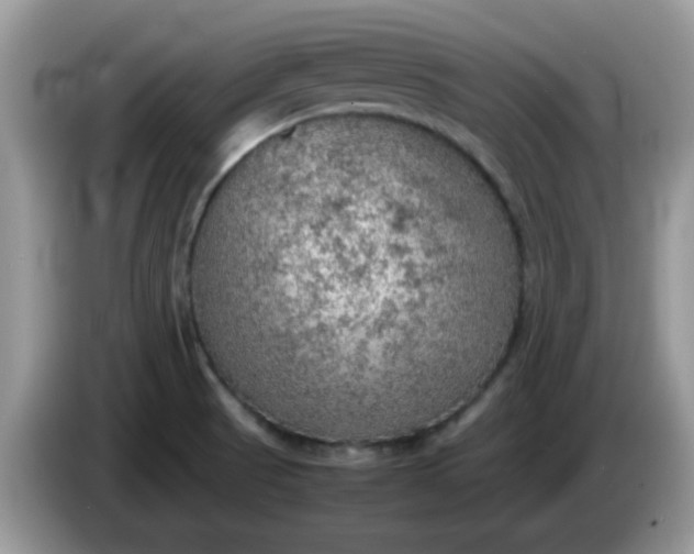 X0000086231521200704121906