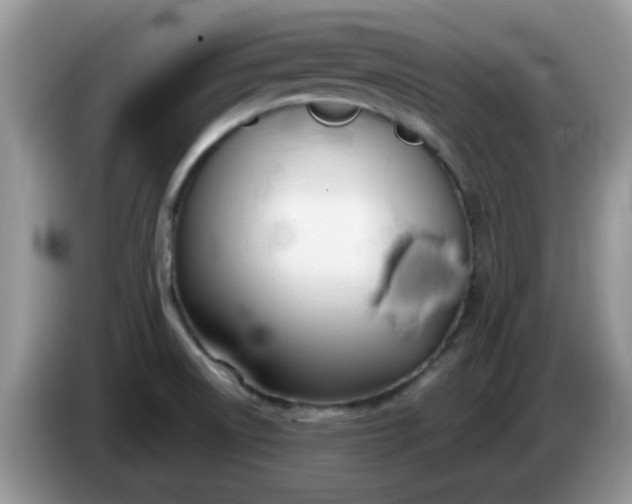 X0000086231522200704121906