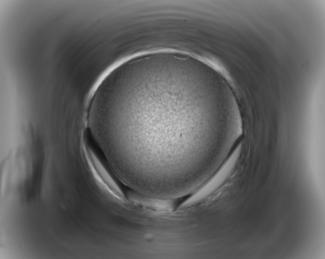 X0000086231524200704121906