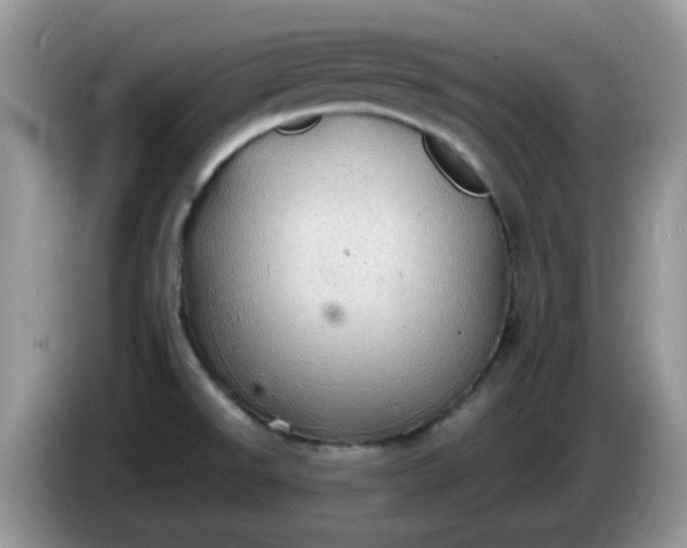 X0000086231526200704121906