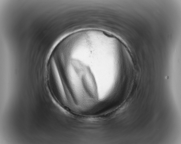 X0000086231527200704121906