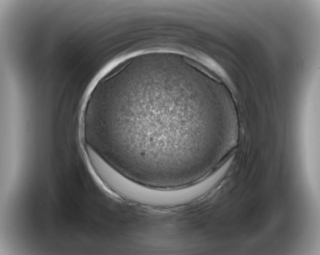 X0000086231528200704121906