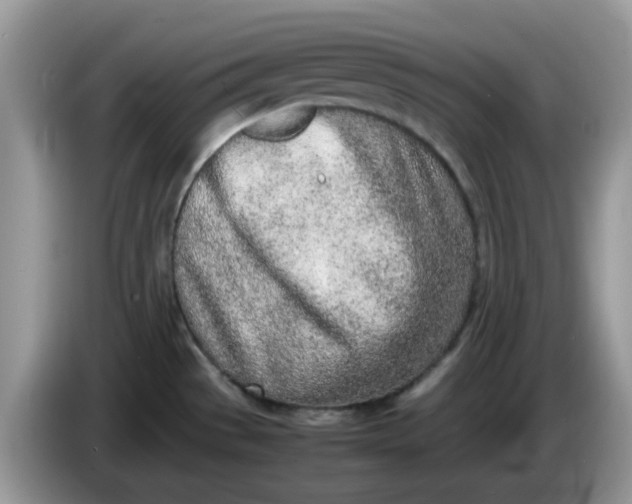 X0000086231529200704121906