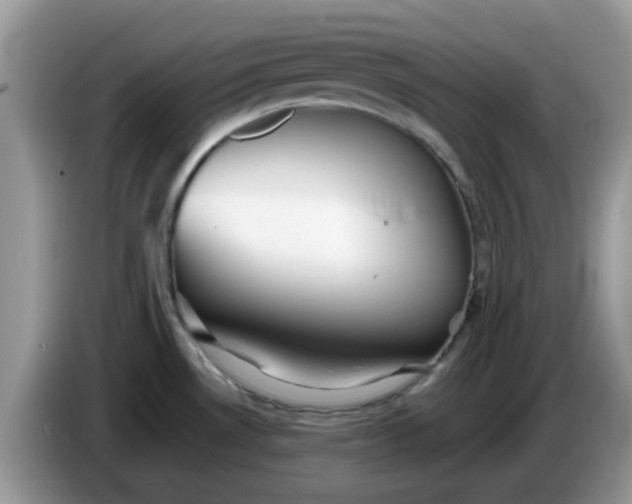 X0000086231530200704121906