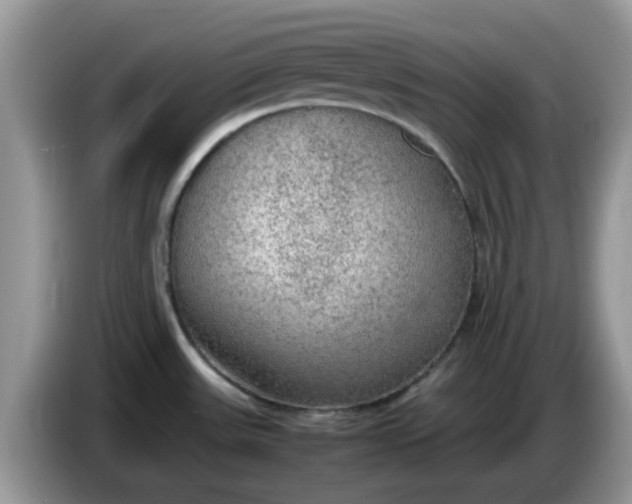 X0000086231531200704121906