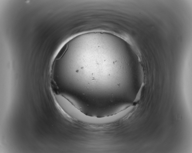 X0000086231532200704121906