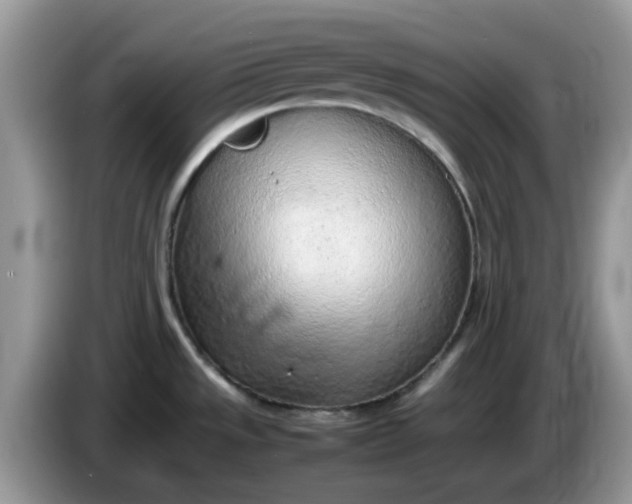 X0000086231533200704121906